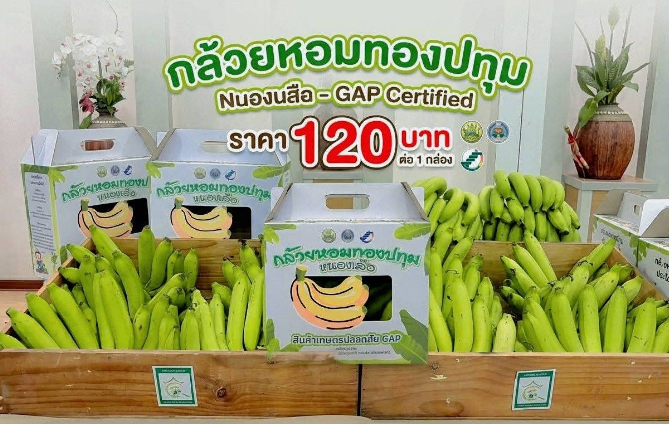 กล้วยหอมทอง