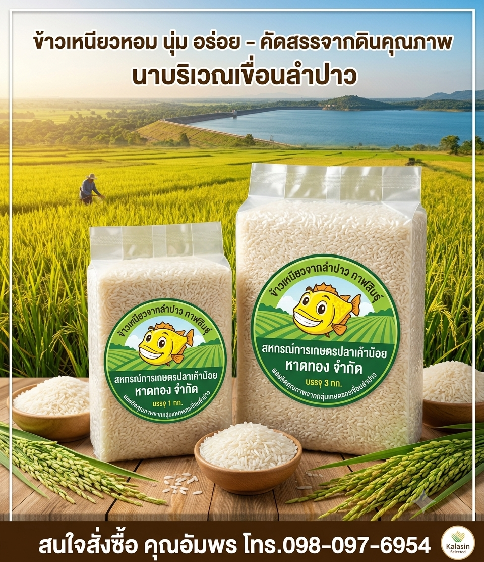ข้าวเหนียวลำปาวกาฬสินธุ์