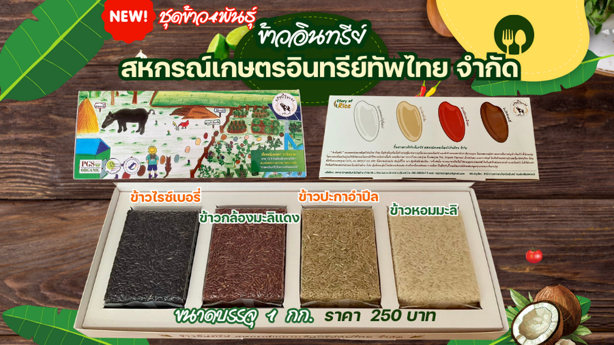 ชุดข้าว 4 สายพันธุ์