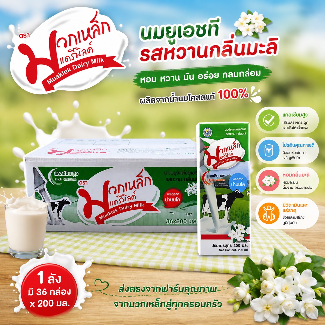 นม UHT ตรามวกเหล็กแดรี่มิลค์ (รสหวาน กลิ่นมะลิ)