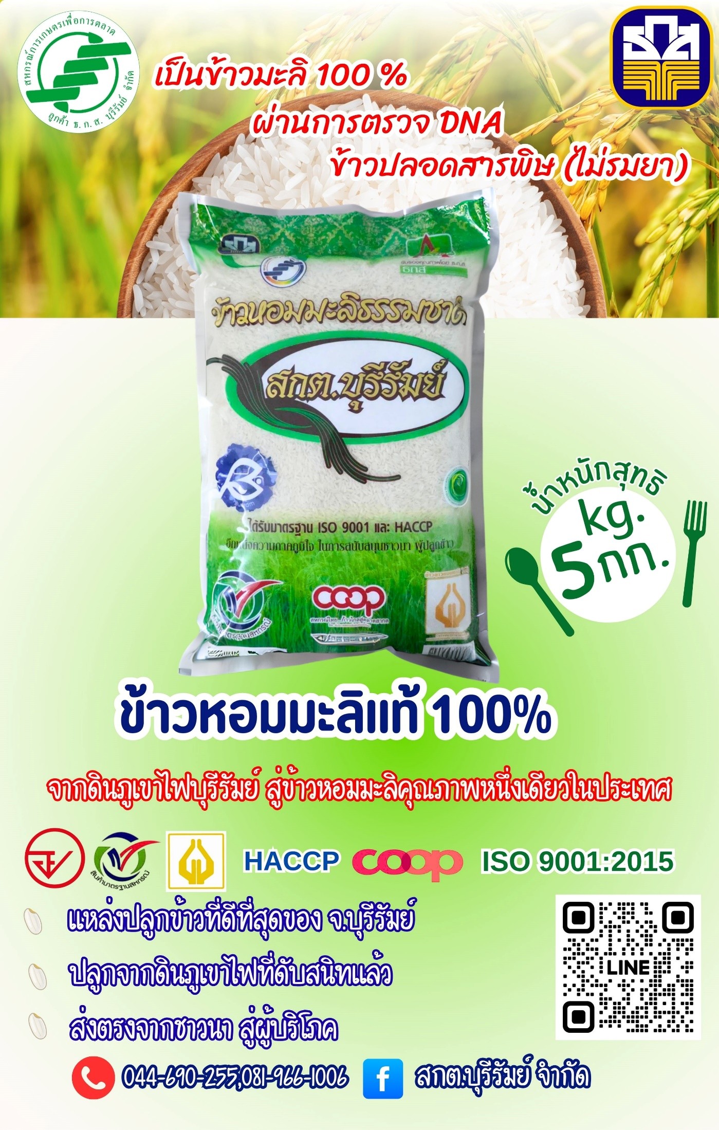 ข้าวหอมมะลิ