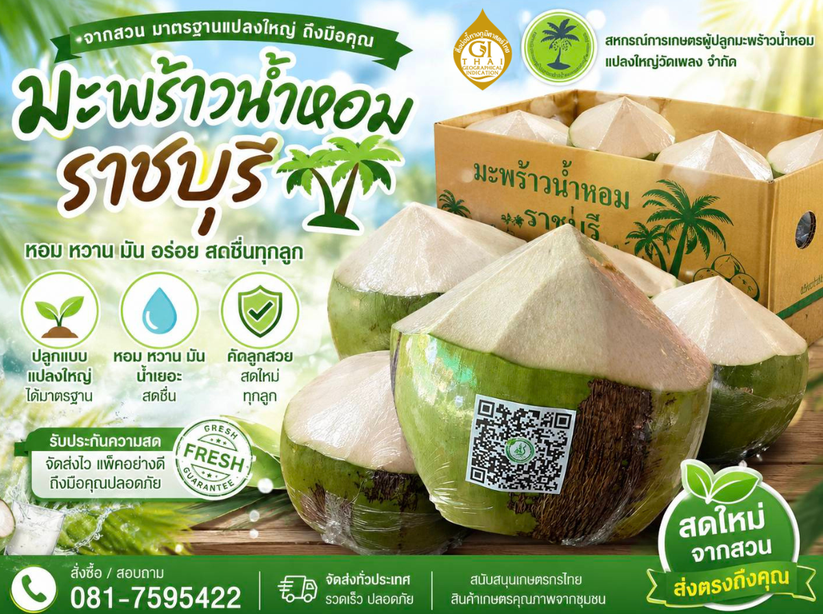 มะพร้าวน้ำหอมราชบุรี