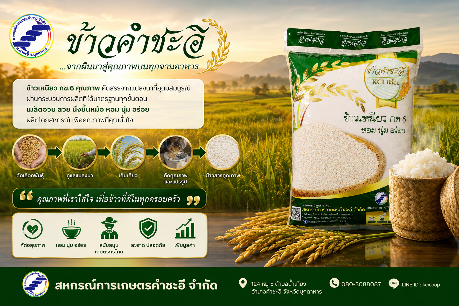 ข้าวเหนียวคำชะอี KCI Rice