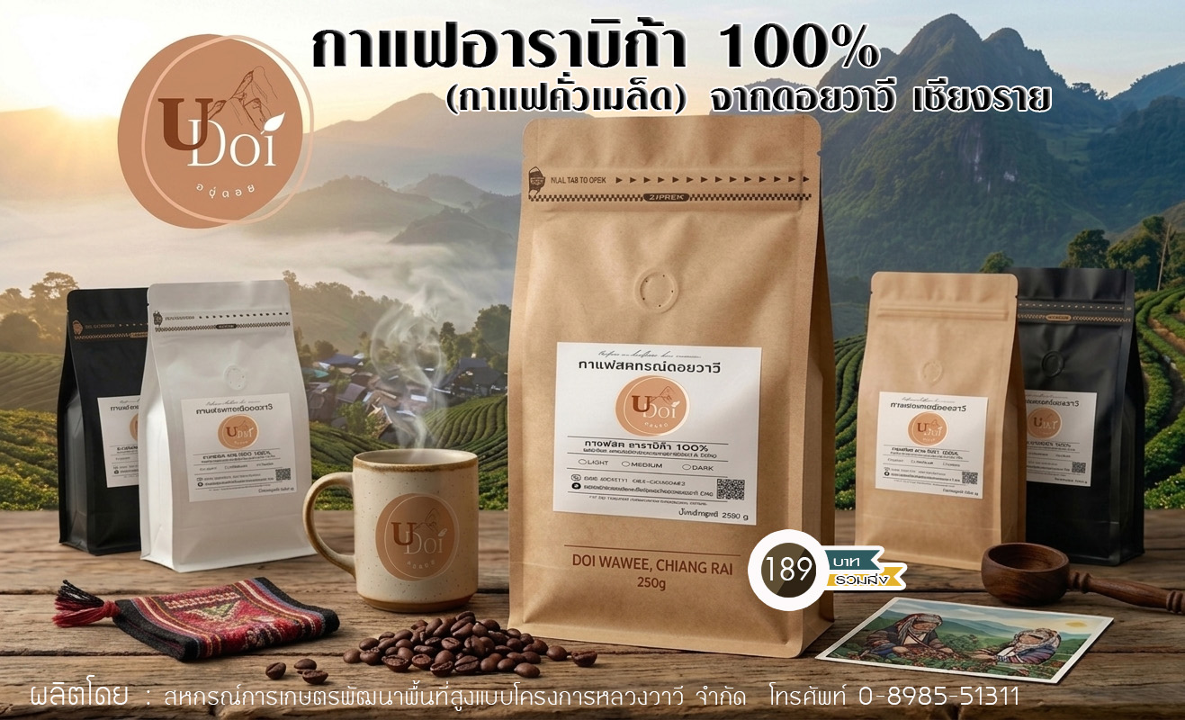 กาแฟอาราบิก้า 100% ตรา อยู่ดอย