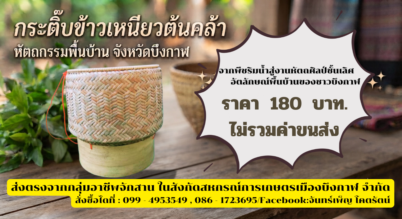 กระติ๊บข้าวจากต้นคล้าลายสามยืน