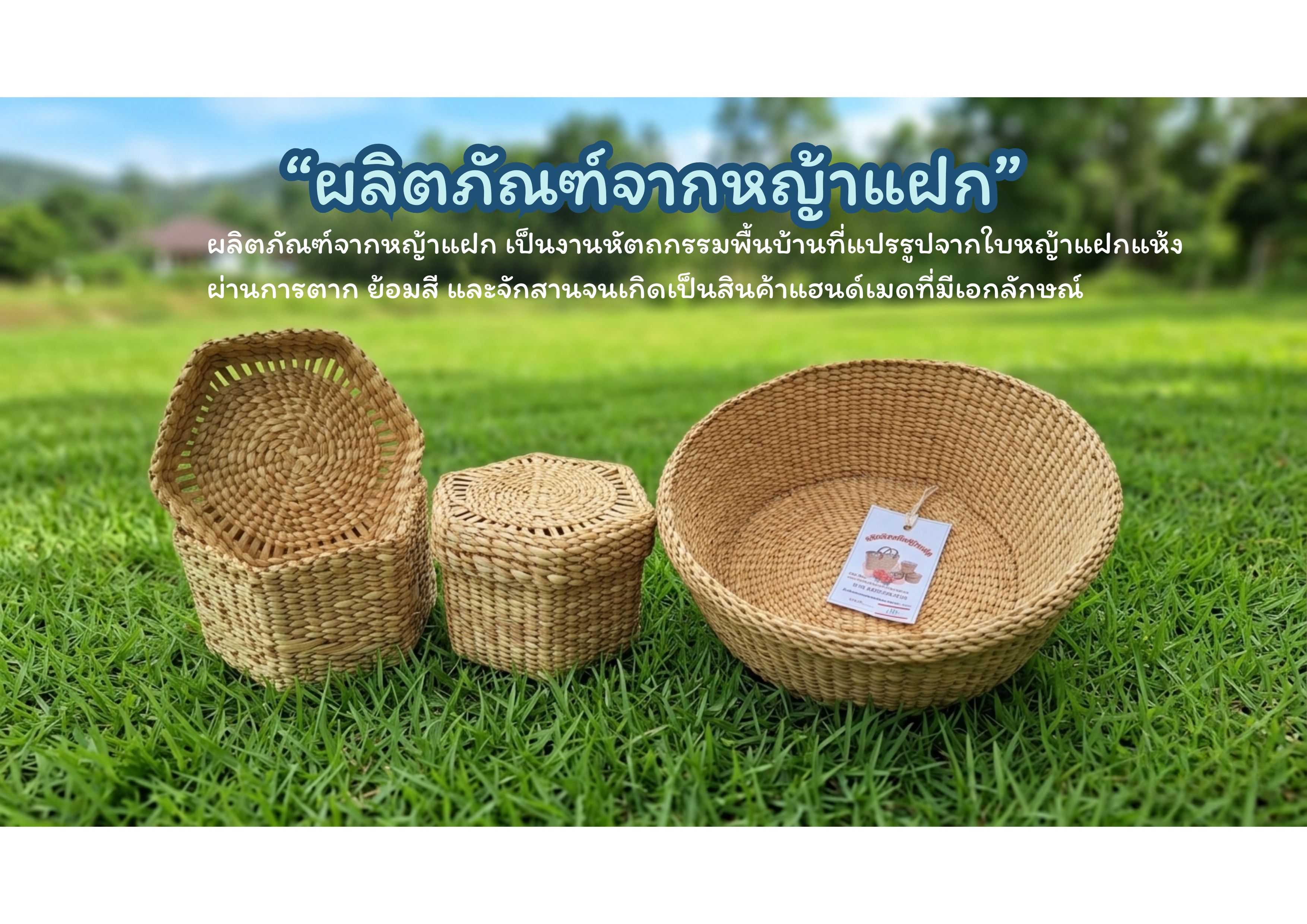 ผลิตภัณฑ์จากหญ้าแฝก