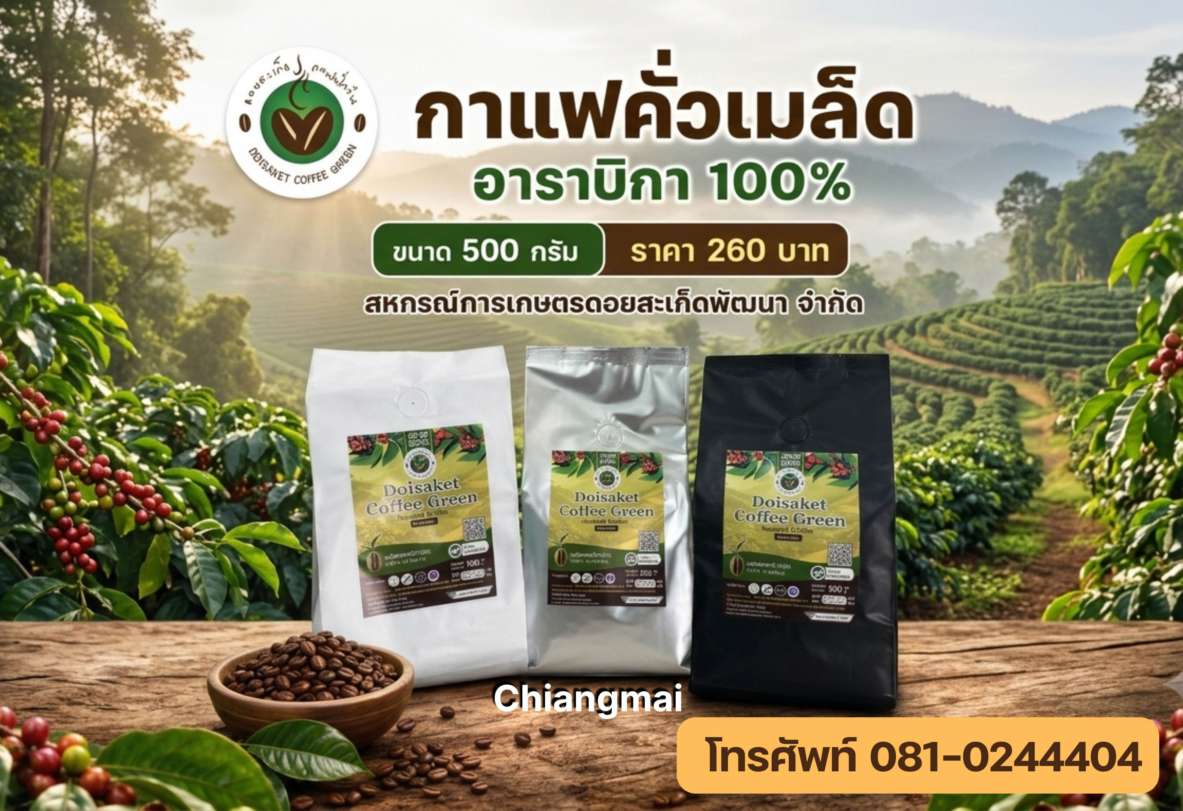 กาแฟอาราบิกาคั่วเมล็ด (Roasted Arabica coffee beans)