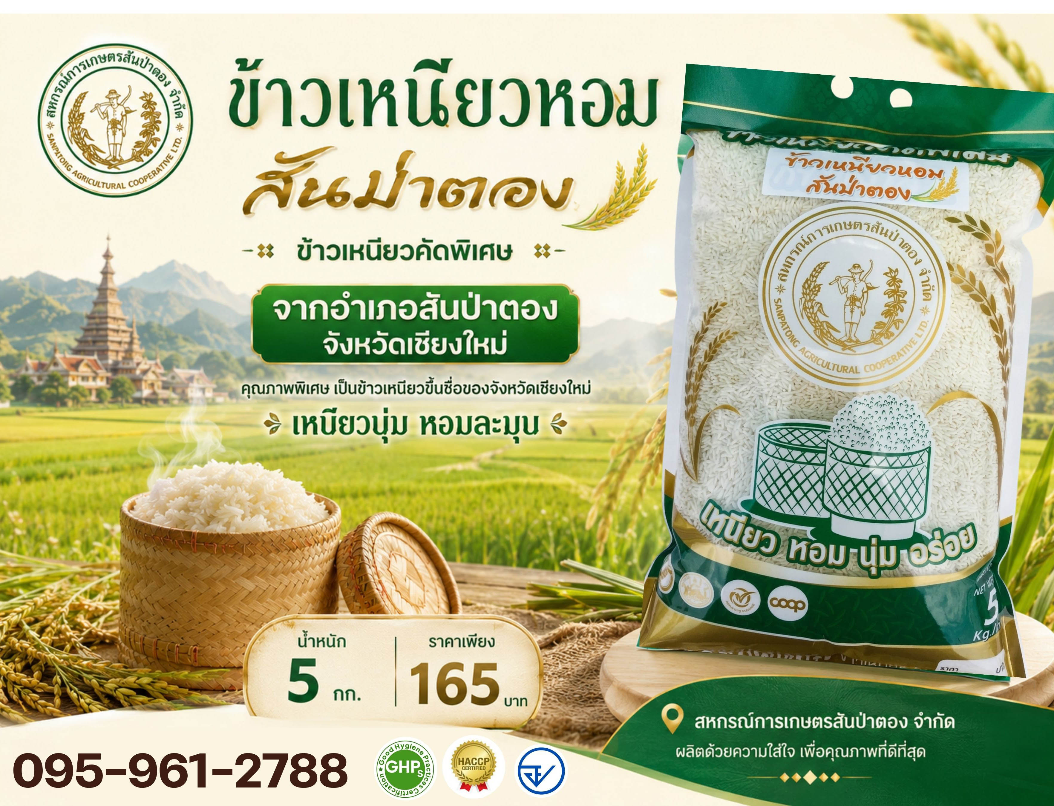 ข้าวเหนียวหอมสันป่าตอง