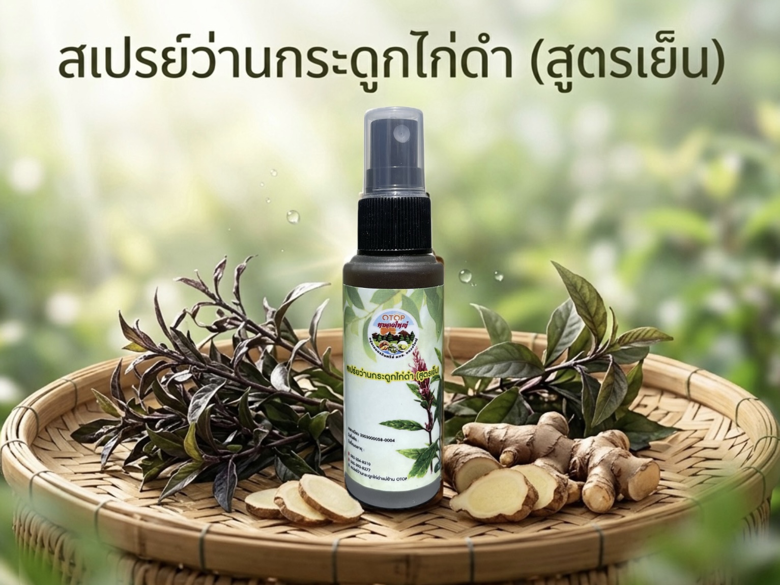 สเปรย์ว่านกระดูกไก่ดำ (สูตรเย็น)