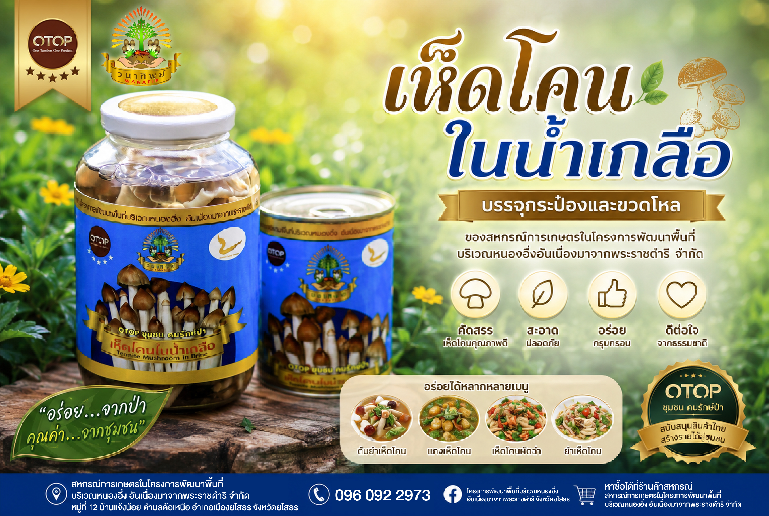 เห็ดโคนในน้ำเกลือ