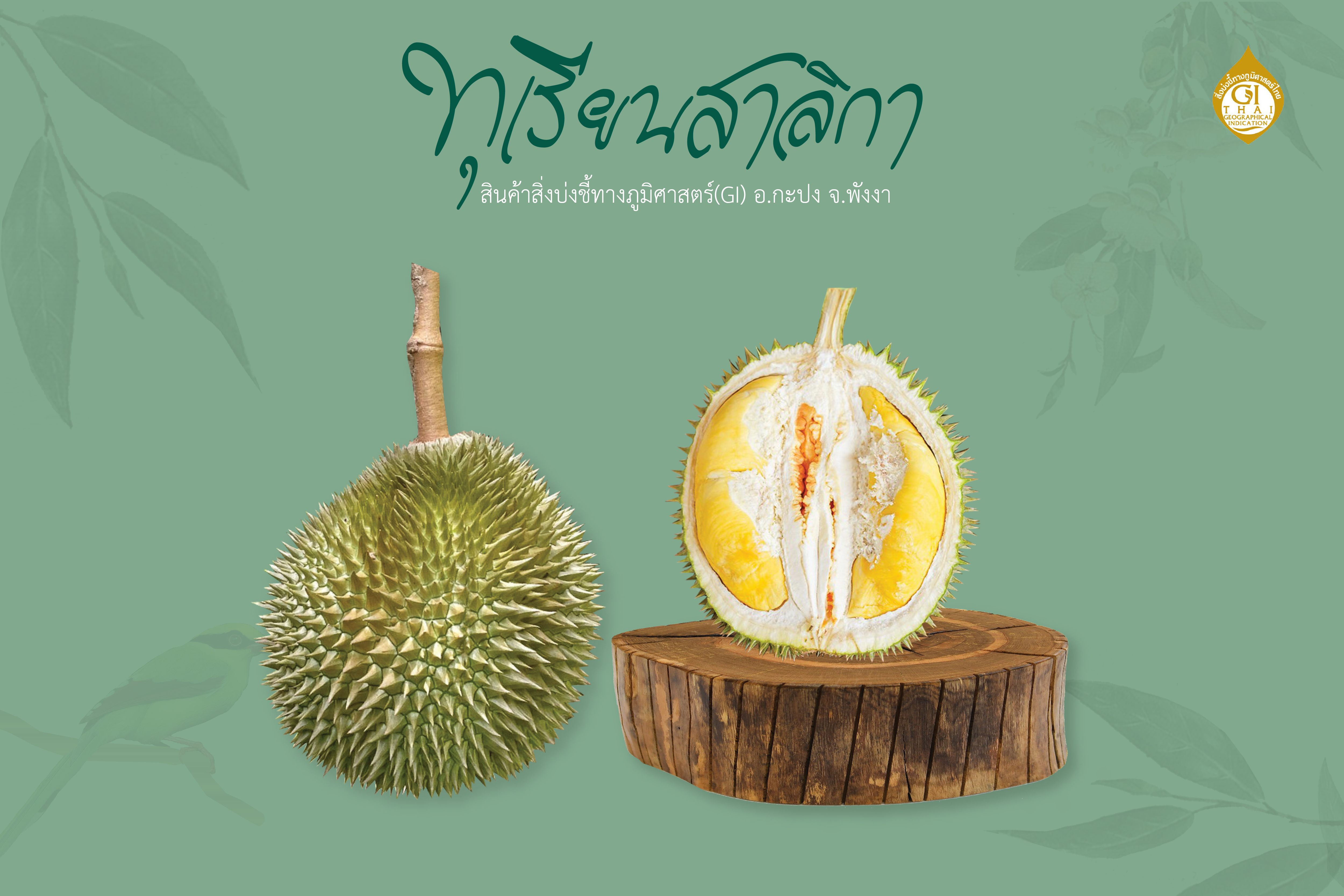 ทุเรียนสาลิกา