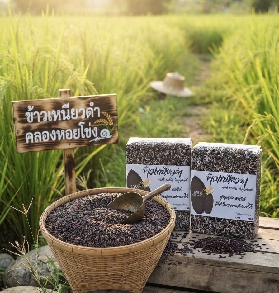 ข้าวเหนียวดำคลองหอยโข่ง