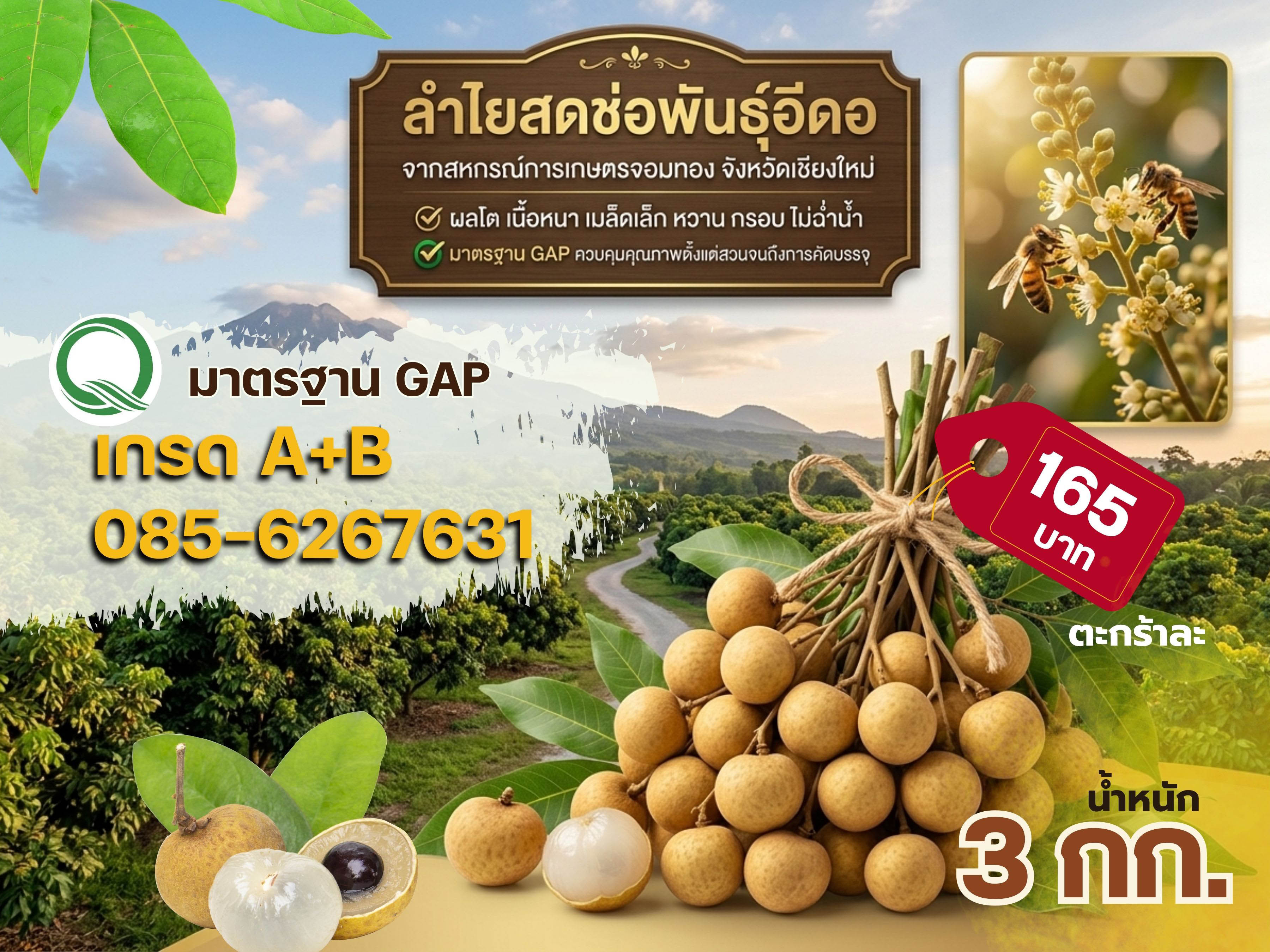 ลำไยสดช่อ พันธุ์อีดอ