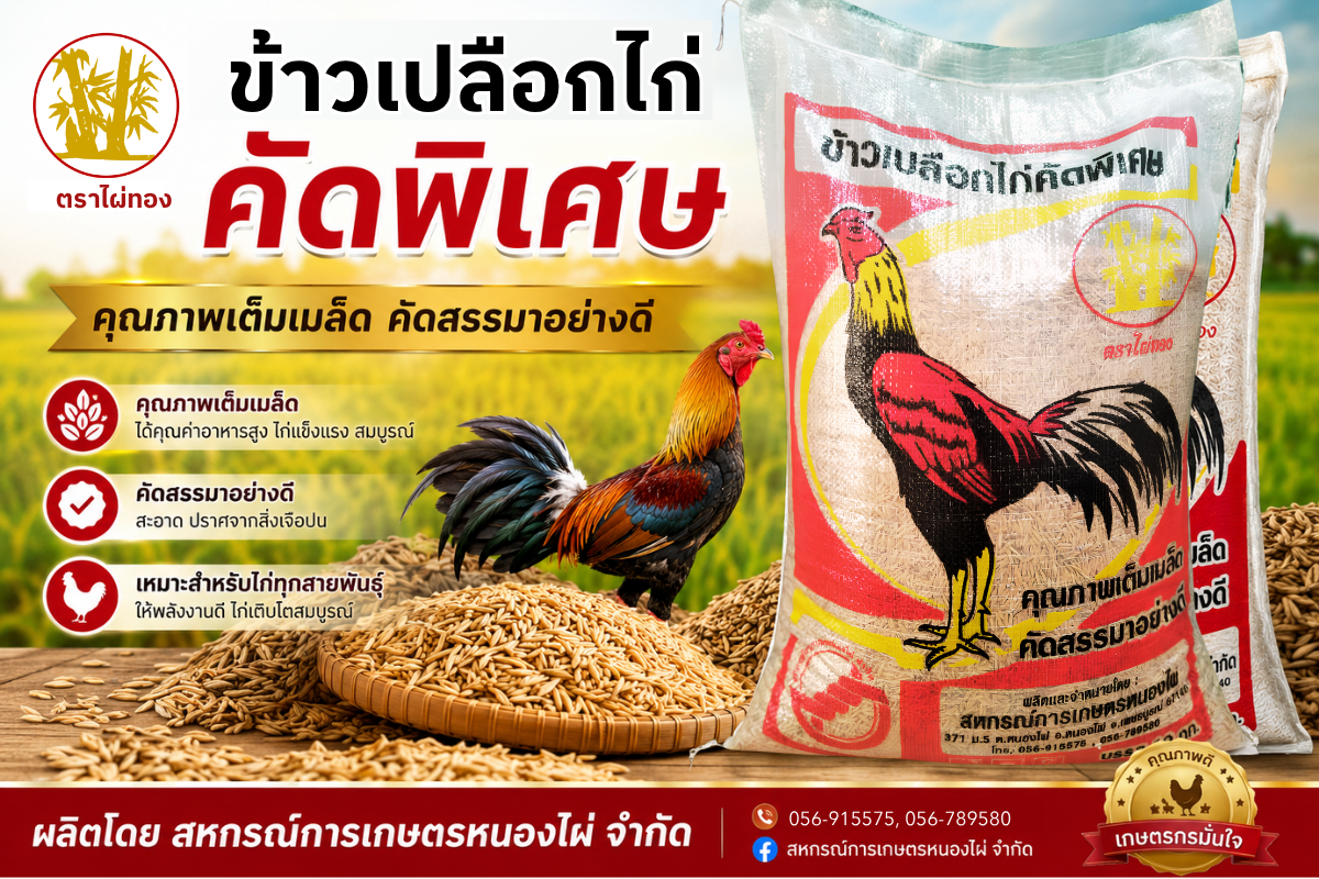 ข้าวเปลือกไก่