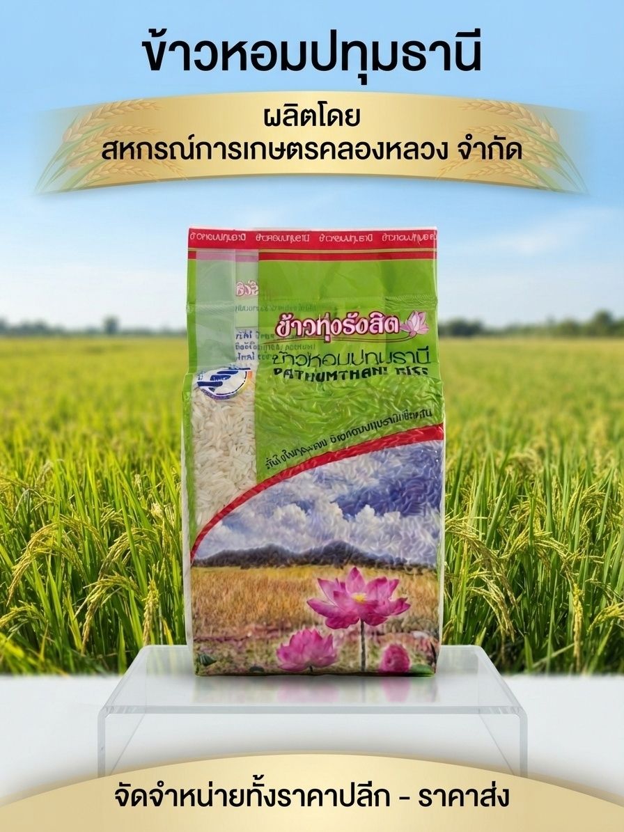 ข้าวหอมปทุมธานี