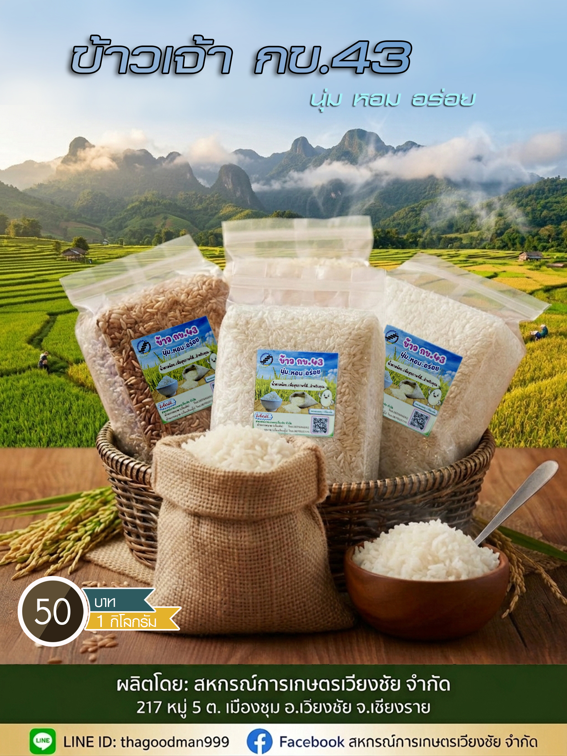 ข้าวเจ้า กข.43